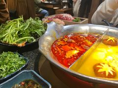 台式麻辣花胶鸡鸳鸯锅-湊湊火锅·茶憩(世博大道店)