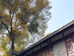 -大妙火锅·非物质文化遗产(东湖公园店)