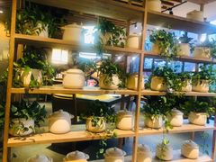 -小城粥道·海胆鲜虾粥(解放广场店)