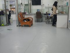 -达爱动物医院·犬猫分区·CT·复杂眼科(远洋山水分院)