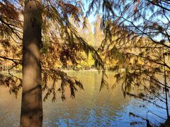 -上海海湾国家森林公园