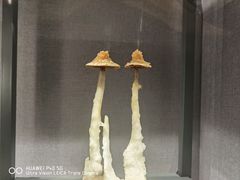 -长江文明馆
