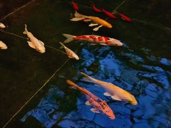 -天津海河悦榕庄·Lobby Lounge大堂吧