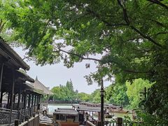 -乌镇西栅景区