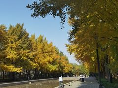 -玲珑塔公园