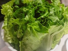 生菜-潮泰牛肉火锅 · 创于1992年(车公庙店)