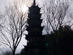 -上海佘山国家森林公园西佘山园