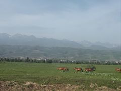 -新疆那拉提国家旅游度假区
