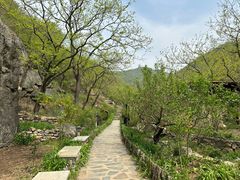 -北京水岸山吧度假村(雁栖镇店)