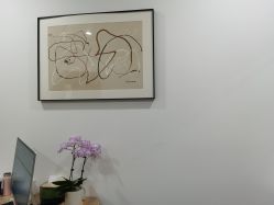-丰联丽格医疗美容·联合丽格眼整形中心