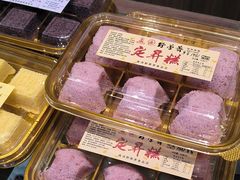 -野荸荠