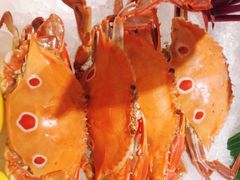 -广州万富希尔顿酒店·感趣自助餐厅·金秋蟹宴生蚝海鲜刺身烧烤