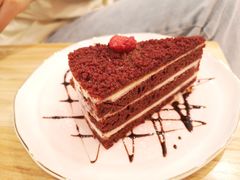 -飞行喵MR PILOT|猫舍·猫咖(静安大融城店)