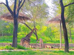 -北京野生动物园