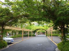 -莫干山郡安里度假酒店-桃尖中餐厅