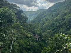 -海南热带雨林国家公园吊罗山景区