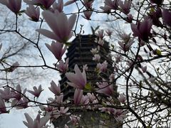 -玲珑塔公园