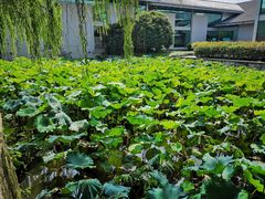 -绍兴鉴湖君澜大酒店