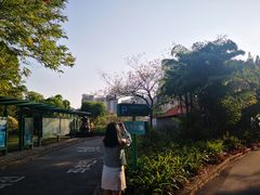 -南沙蒲洲花园