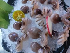 -马家斑.鲜鱼火锅(松湖万科店)