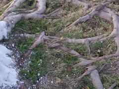 -恐怖游戏(湖滨店)