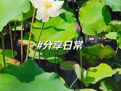 -黄兴公园