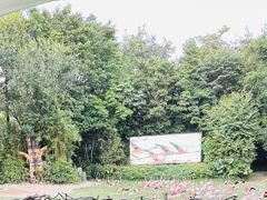 -广州长隆野生动物世界
