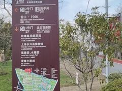 -上海长兴岛郊野公园