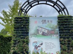 -金山农民画村-枫泾波兰倒置屋