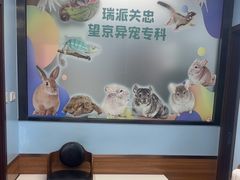 -瑞派·关忠动物医院·异宠专科·犬猫肿瘤·皮肤专科(望京店)