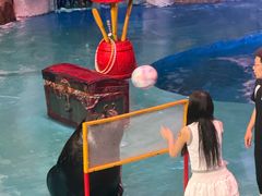 -烟台海昌鲸鲨海洋公园
