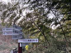 -长沙黑麋峰国家森林公园