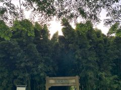 -采石矶景区