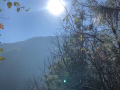 -苍山感通索道