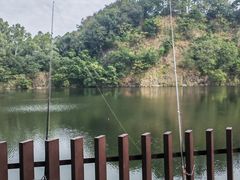 -王借岗森林公园