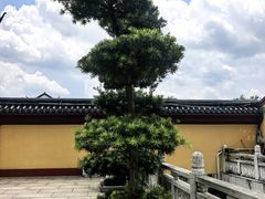 -上海东林寺(金山区)