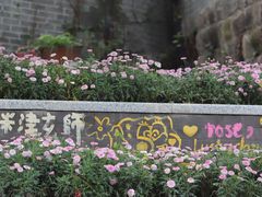 -黄桷坪涂鸦艺术街