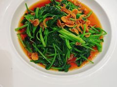 樱花虾橄榄苗-品悦酒店(三林古镇店)