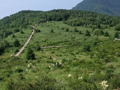 -白草畔自然风景区