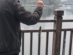 -重庆彩云湖湿地公园