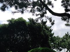 -青岛第三海水浴场