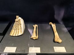 -北京周口店北京人遗址博物馆
