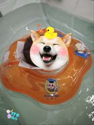 -爱婴室(福州东二环泰禾店)