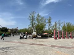 -绥化市森林植物园