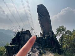 -南山植物园