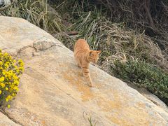 -东极岛景区-东海第一哨灯塔