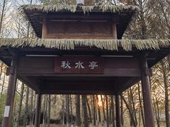 -苏州太湖国家湿地公园