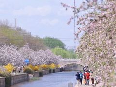 -海棠花溪(元大都城垣遗址公园)