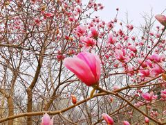 -白塘生态植物园