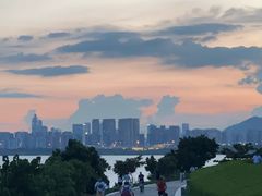 -华侨城湿地公园